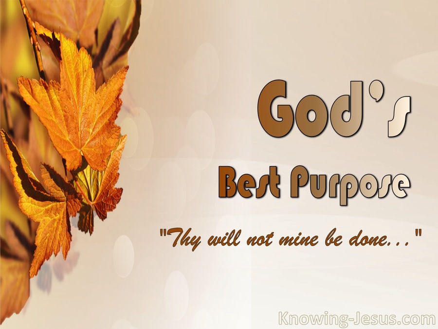 Luke 22:42 God's Best Purpose (devotional)04-01 (orange)